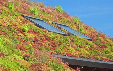 Thurston living roof systems