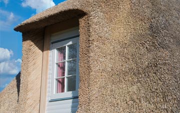 Thurston thatch roof disadvantages