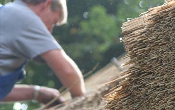 professional Thurston thatchers